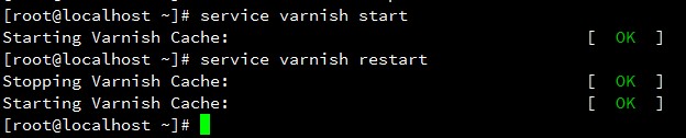 Varnish不能启动问题的解决办法