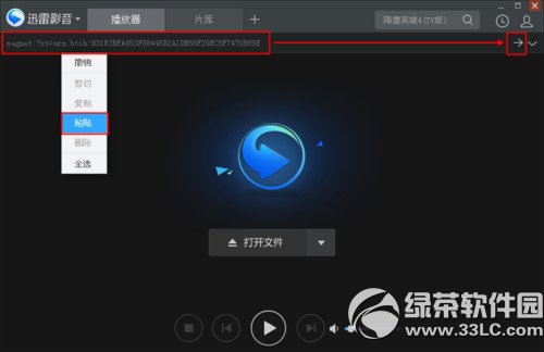 迅雷影音怎么看片？迅雷影音看片教程2