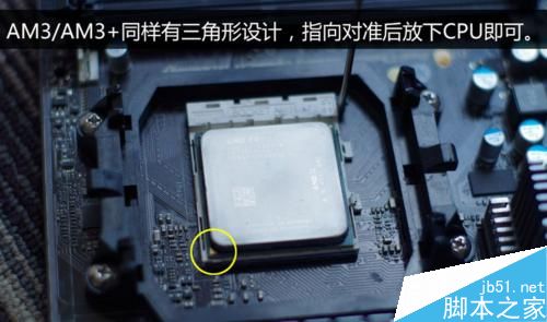 如何安装AMD CPU和散热器？