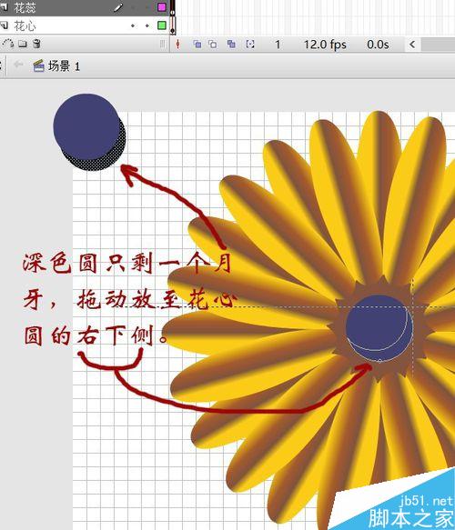 用flash绘制一朵花