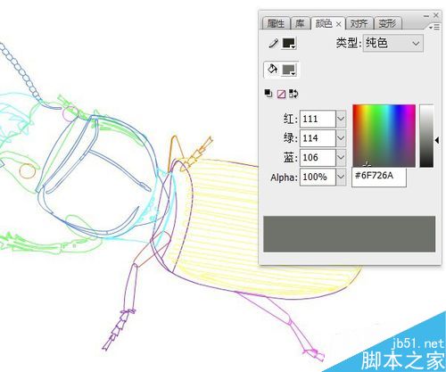 flash绘制昆虫――蝼步甲