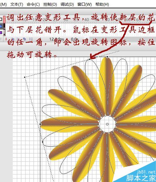 用flash绘制一朵花