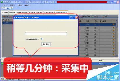 阿里巴巴国际站关键词关键词一键采集和分析