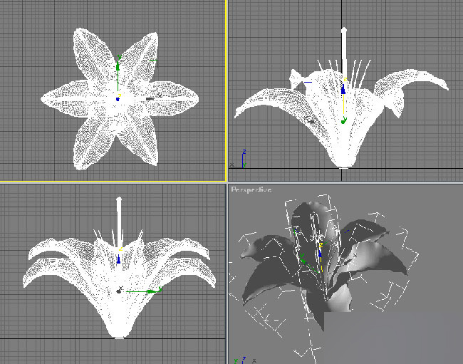 3dmax制作纯洁百合花 武林网 3dmax教程