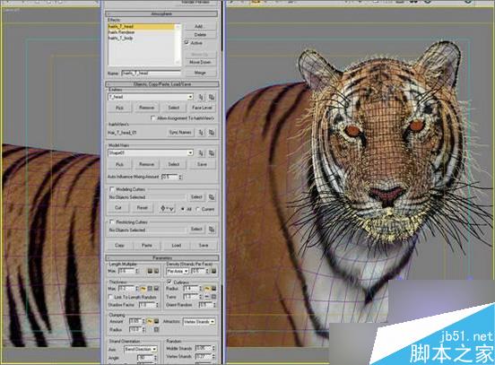 3dsmax制作超逼真的老虎  武林网 3dsmax教程