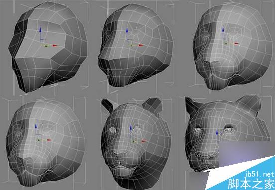 3dsmax制作超逼真的老虎  武林网 3dsmax教程