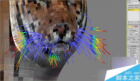 3dsmax制作超逼真的老虎  武林网 3dsmax教程