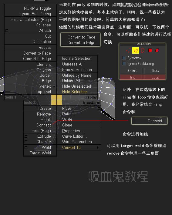 3ds MAX实例教程：多边形建模小狗,破洛洛