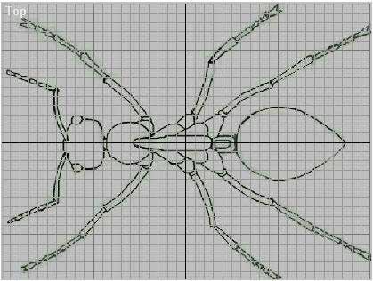 深入了解3DMAX建模技术--蚂蚁实例（上）