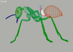 深入了解3DMAX建模技术--蚂蚁实例（下）