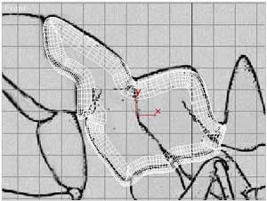 深入了解3DMAX建模技术--蚂蚁实例（上）