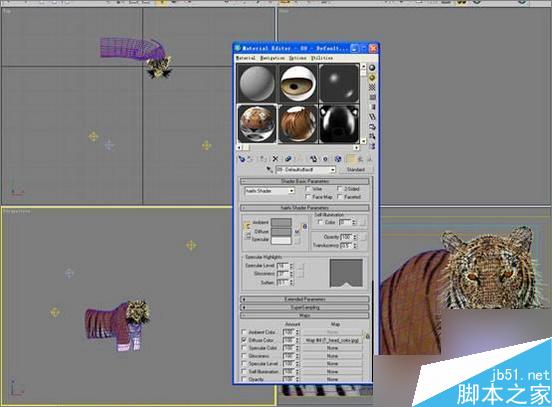 3dsmax制作超逼真的老虎  武林网 3dsmax教程