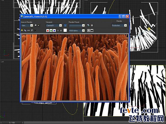 3dsmax毛发系统制作海葵 武林网 max渲染教程