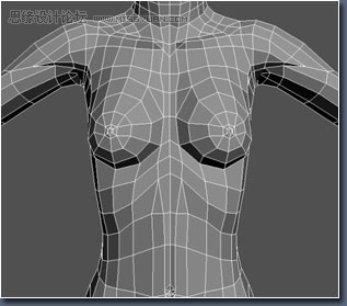 3D MAX建模教程：女性角色模型解析