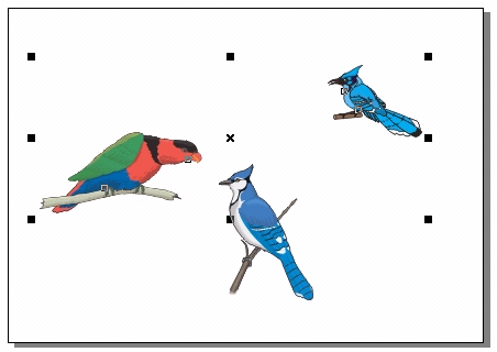 CorelDRAW 选取及填充对象 武林网 CorelDraw入门教程