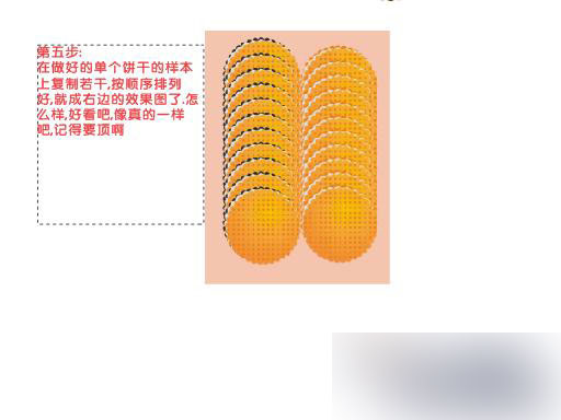 CDR绘制饼干 武林网 CDR入门教程