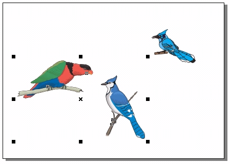 CorelDRAW 选取及填充对象 武林网 CorelDraw入门教程