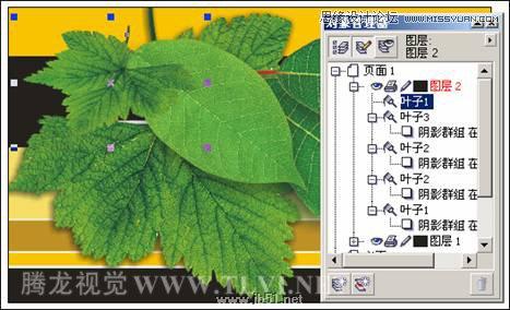 CorelDRAW设计环保宣传海报教程,PS教程,思缘教程网