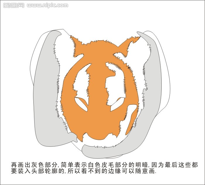 CDR绘制可爱的幼虎 武林网 CDR实例教程