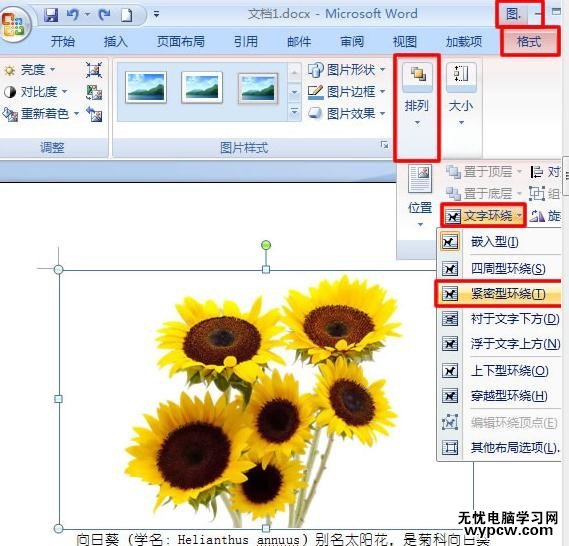 word2007图片紧密环绕文字的两种技巧