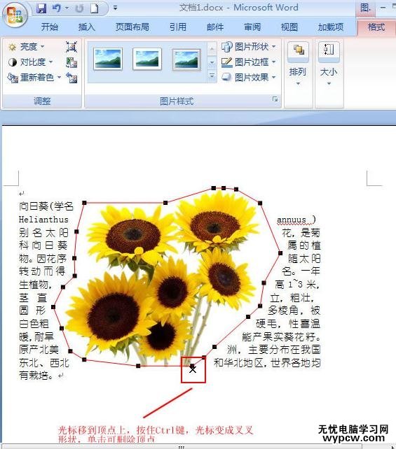 word2007图片紧密环绕文字的两种技巧