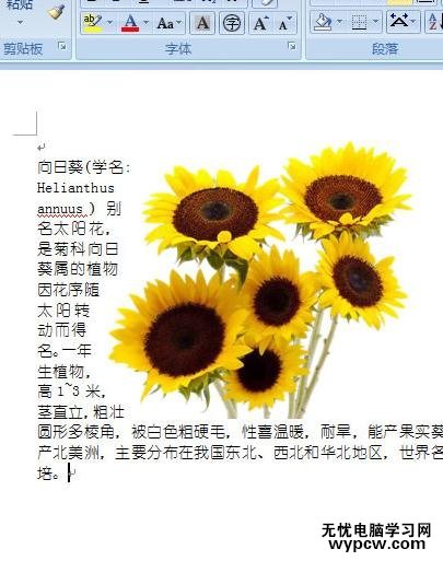 word2007图片紧密环绕文字的两种技巧