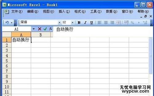 excel表格内文字换行的教程