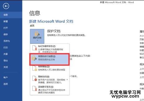 怎样给word2013文档加密