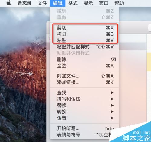 苹果MAC系统复制粘贴快捷键是什么？