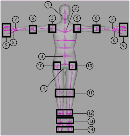 maya―fbik系统研究 武林网 maya动画教程