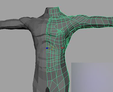 MAYA建模教程：人体躯干的建立