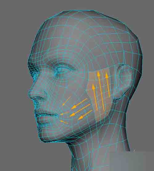 MAYA人头布线 武林网 MAYA建模教程