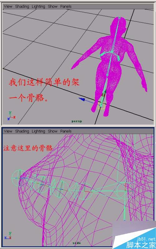 MAYA 初级柔体教程 武林网 MAYA角色动画教程