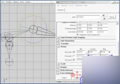 Maya 7.0 骨骼动画-骨骼动力学 武林网 MAYA角色动画教程