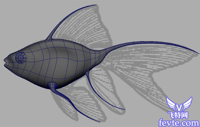 Maya 制作鱼的模型 武林网 MAYA入门教程