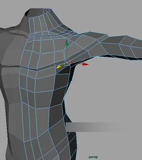 MAYA建模教程：人体躯干的建立