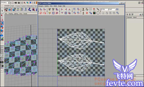 用maya制作逼真的树叶 武林网 MAYA建模教程