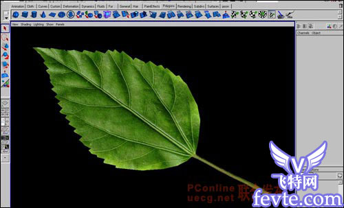 用maya制作逼真的树叶 武林网 MAYA建模教程