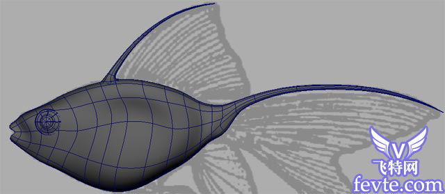 Maya 制作鱼的模型 武林网 MAYA入门教程