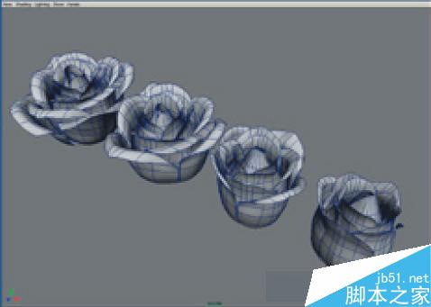 maya7.0玫瑰花建模教程 武林网 MAYA材质灯光