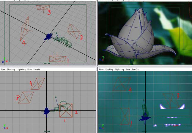 MAYA7.0制作荷花材质教程 武林网 MAYA材质灯光