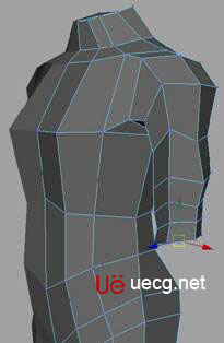 MAYA建模教程：人体躯干的建立