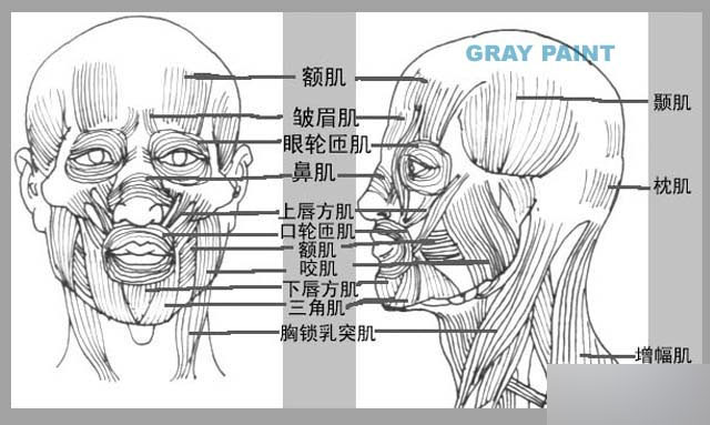 MAYA人物建模教程 人物造型 武林网 MAYA建模教程