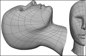 MYAY NURBS人头高级建模教程 武林网 MAYA建模教程