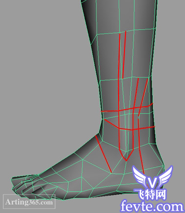Maya建模教程 脚的建模 武林网 MAYA建模教程