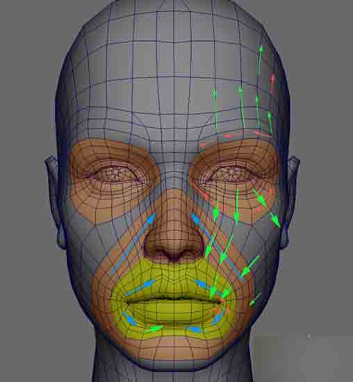 MAYA人头布线 武林网 MAYA建模教程