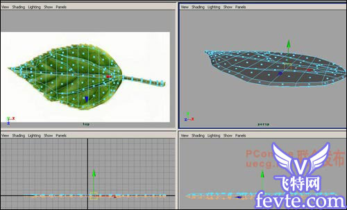 用maya制作逼真的树叶 武林网 MAYA建模教程