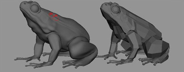 MAYA打造逼真青蛙 武林网 MAYA角色动画教程