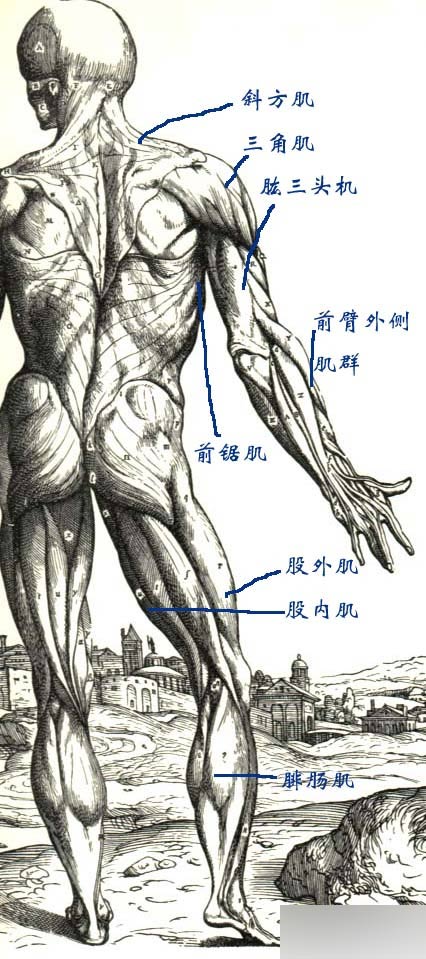 MAYA人物建模教程 人物造型 武林网 MAYA建模教程