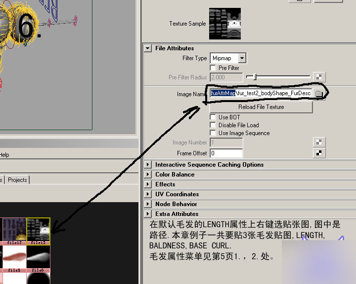 MAYA FUR制作蜜蜂的体毛 武林网 MAYA角色动画教程